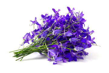 Bouquet of purple wildflowers sparkle