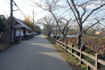 Fototapeta premium 篠山城跡の南堀の通り