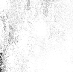 Rough black and white texture vector. Distressed overlay texture. Grunge background. Abstract textured effect. Vector Illustration. Black isolated on white background. EPS10