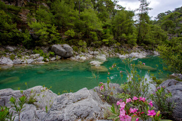 Travel through the Goyniuk Canyon. Beautiful places in Turkey. Mountain river and rocks in Kemer.