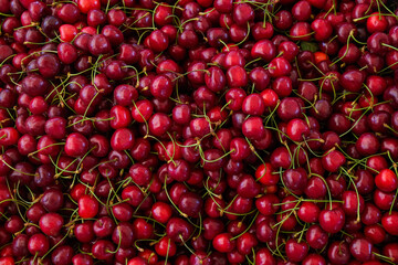 Heap of fresh organic sweet cherries for sale on farmers market. Clean eating concept. Healthy nutritious vegan snack, raw diet. Close up, copy space for text, top view, flat lay, background.