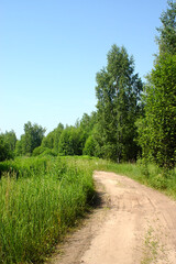 A dirt road on the edge of the forest