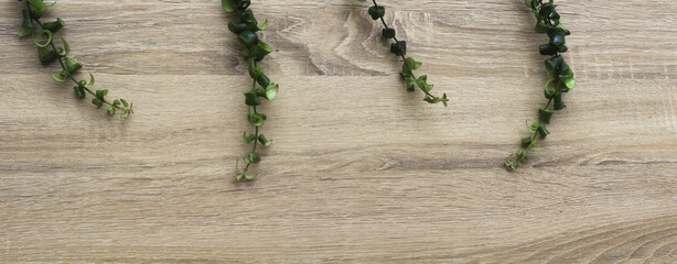 Banni&egrave;re de bois brun clair avec des branches de lierre au dessus.  Arri&egrave;re plan avec un espace de copie