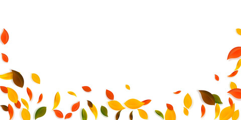 Falling autumn leaves. Red, yellow, green, brown c