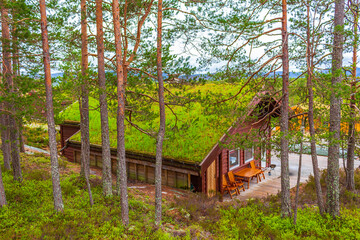 Norwegian wooden forest cabin cottage in the nature landscape Norway.