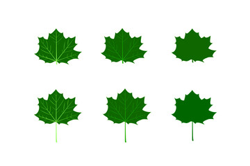 green maple leaves icon different design on white background.maple leaf sign,flat style.concept for sign, symbol, icon ect