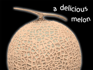 美味しそうなメロン　アップ