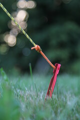 tent pegs close up to set up tent, awning, hammock and other camping equipment 