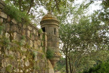 View of a watchtower of a castle in a forest