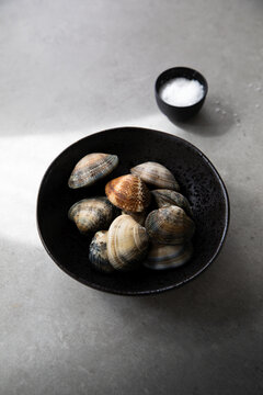 Raw clams and salt on table