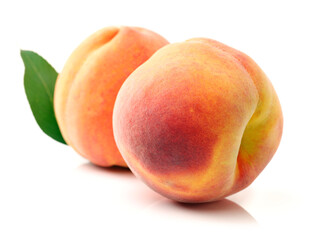 Gold Peach on a white background