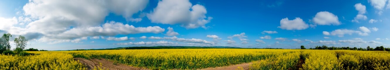 Obraz premium Panorama of yellow rapeseed valley. The mountains and the beautiful spring sky in the background