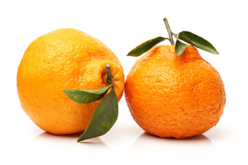 tangerines with leaves isolated