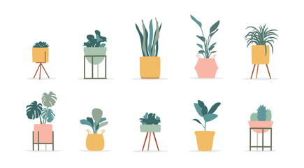 House plant, Minimal plant in modern plant pot vector illustration. 