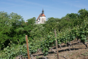 Fototapeta na wymiar Wein und Kirche