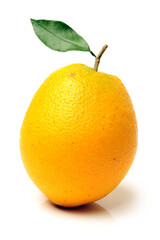 orange isolated on white background