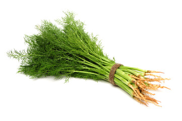 Fennel bunch on white background