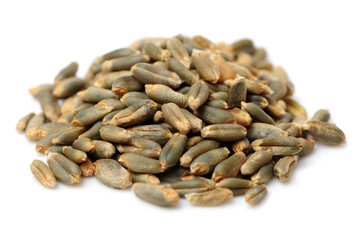 organic whole grain wheat kernels on white background