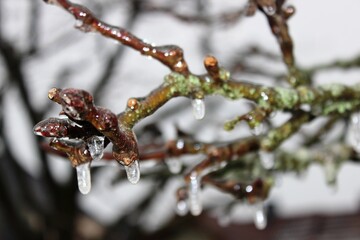Kalter Winter