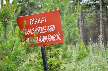 Close up of a sign in the forest in Metu, Ankara, Turkey to warn for dingos in Turkish. Beware of...