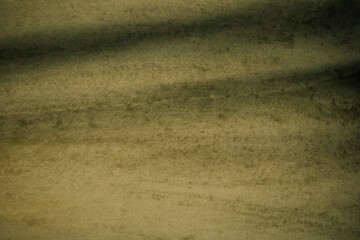 Background with green cactus leaf texture.