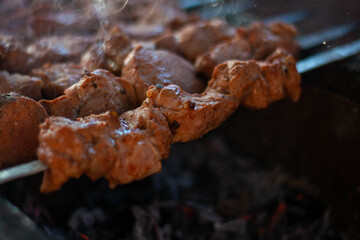 Appetizing fresh meat shish kebab prepared on a grill wood coal, outdor