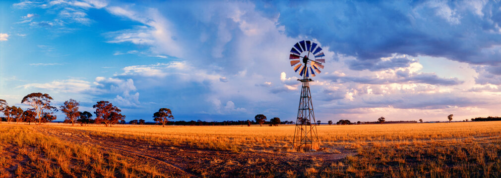 A single windmill in the middle of a paddock with a dramatic sky behind