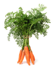 fresh carrot on white background 