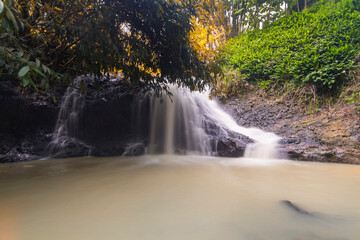 waterfall in the forest