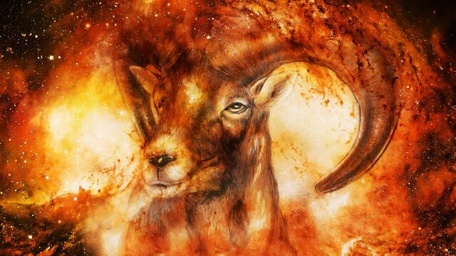 Drawing of male wild sheep with mighty horns on flower background.