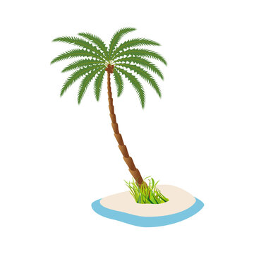 A palm tree with green foliage on an island on a white background.
