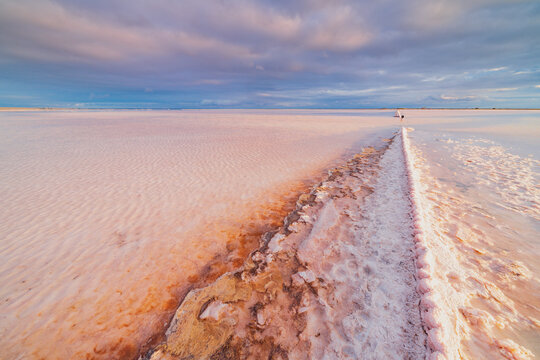 a crusty corrugated fence line running off into the distance over a pink salt lake