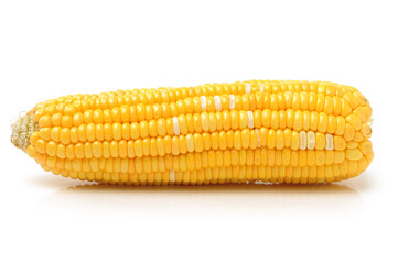 Corn on white background 