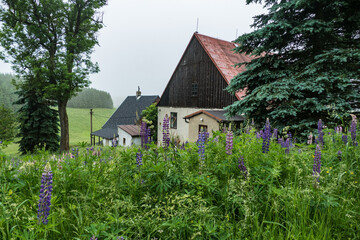 Fototapeta premium old abandoned house in czech hillside