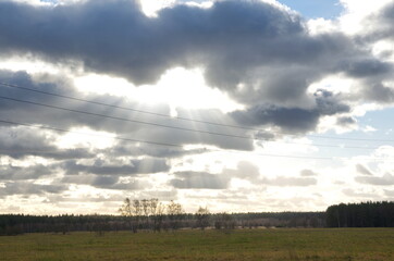 Obraz premium nature in the autumn season