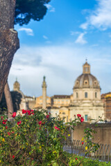Fototapeta na wymiar Roses à Rome