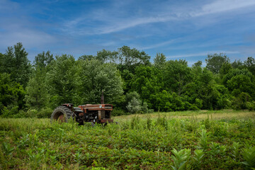 Fototapeta na wymiar Old Tractor in a Strawberry Field, New Albany, Ohio