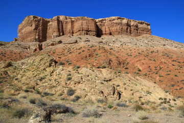 Fototapeta premium A bastion of the Charyn canyon with relief walls rises on a high white-red sandy-clay rock, small bushes grow on the slope of the mountain, clear sky, summer, sunny