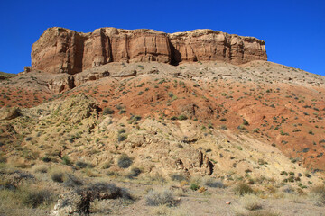 Fototapeta na wymiar A bastion of the Charyn canyon with relief walls rises on a high white-red sandy-clay rock, small bushes grow on the slope of the mountain, clear sky, summer, sunny