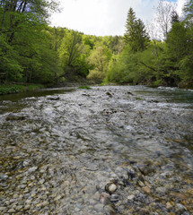 Schöne Mangfall (bei Grub)