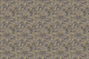 green grass plant pattern texture
