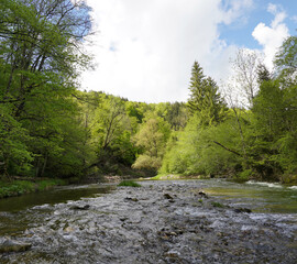 Schöne Mangfall (bei Grub)