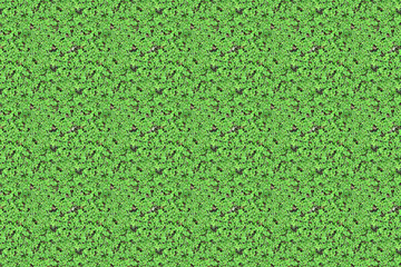 green grass plant pattern texture