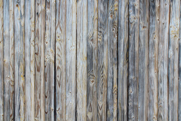 Old thin unpainted wooden planks. Close-up. Vertical view. Background. Texture.