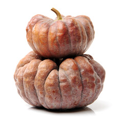 Orange pumpkin on white background 