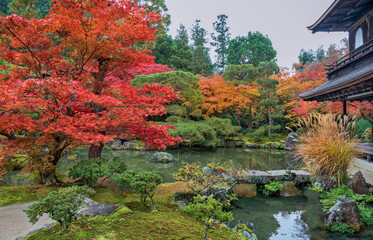 Foliage landscape in Kyoto, Japan.