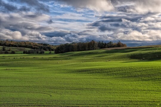Scottish Landscape near Thornhill