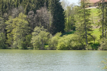 Schönes Unterlaus: Lauser Weiher