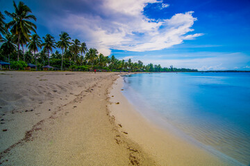 beach with palm trees Bintan island