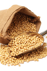 Fototapeta premium gold soybean isolated on white background 